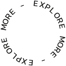 curve-text.webp